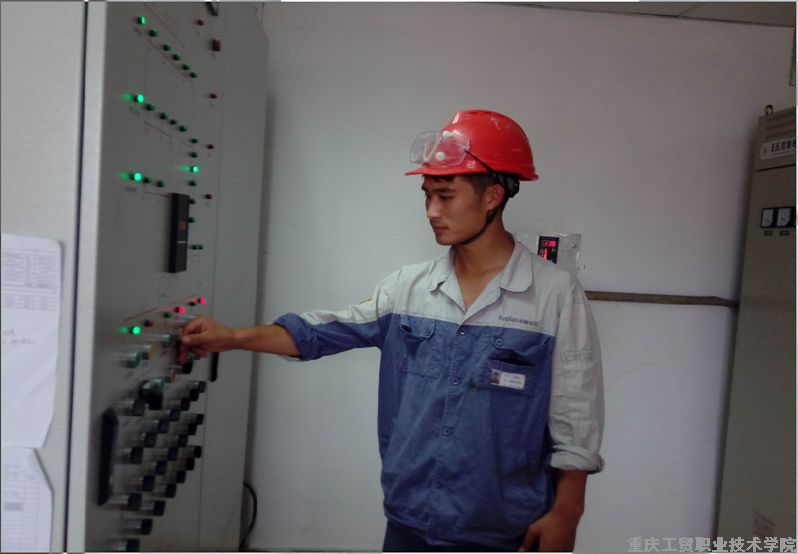 2012届毕业生-李宗伟（应用化工技术）